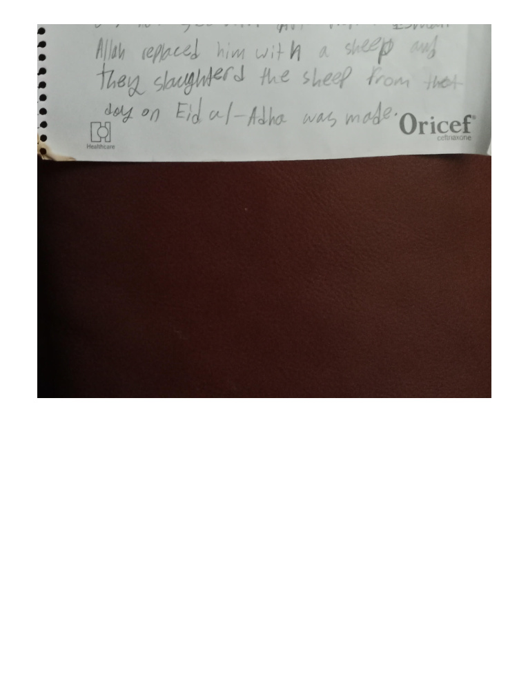 Rafeen Zaman handwritten submission page 4